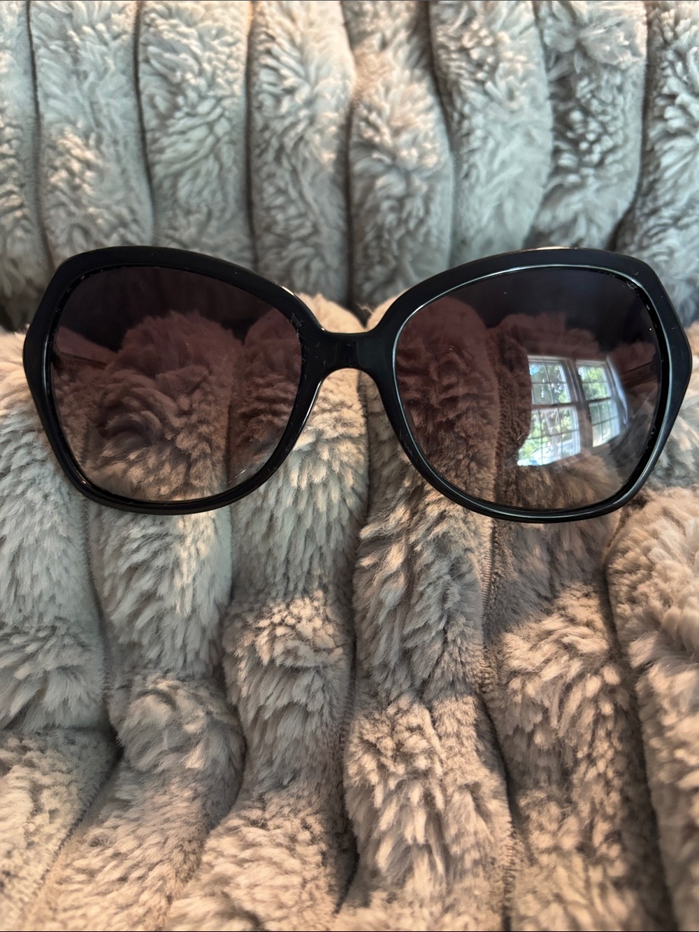 Burberry Black Oversized Women's Sunglasses